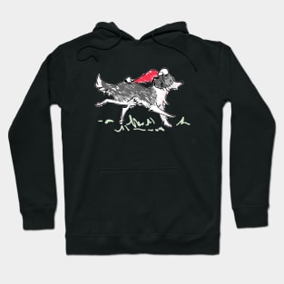 Christmas Collie Hoodie